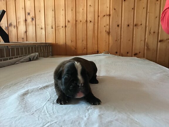 Martha vom Lankwitzer Orden - Tag 7 Martha vom Lankwitzer Orden - Tag 7