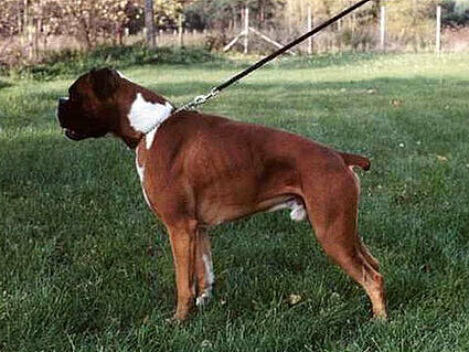 Apard von Monastir, Daten-Stand Apard von Monastir, Daten-Stand