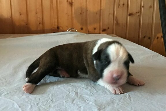 Mimi vom Lankwitzer Orden - Tag 7 Mimi vom Lankwitzer Orden - Tag 7