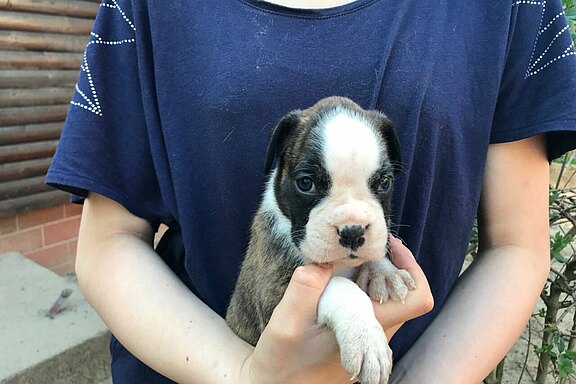 Mimi vom Lankwitzer Orden - Tag 28 Mimi vom Lankwitzer Orden - Tag 28