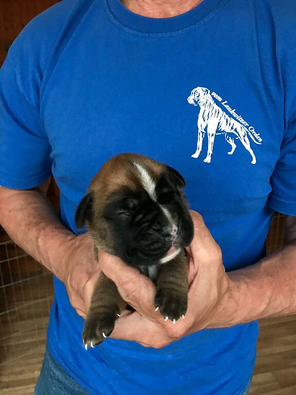 Noodles vom Lankwitzer Orden - Tag 7 Noodles vom Lankwitzer Orden - Tag 7