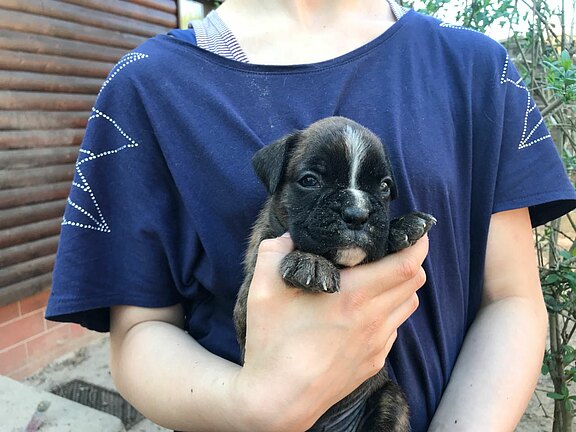 Martha vom Lankwitzer Orden - Tag 28 Martha vom Lankwitzer Orden - Tag 28