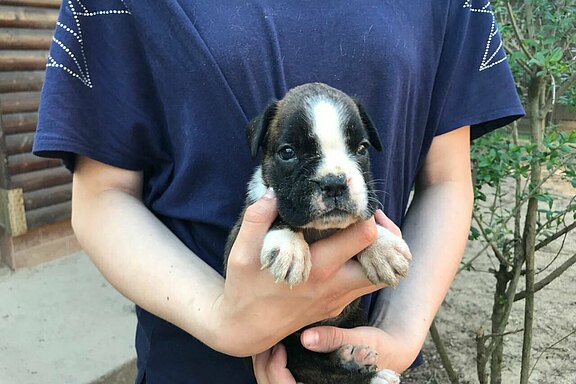 Mira vom Lankwitzer Orden - Tag 28 Mira vom Lankwitzer Orden - Tag 28