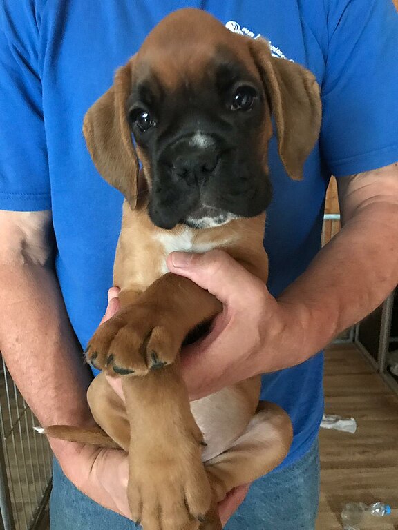 Noodles vom Lankwitzer Orden - Tag 67 Noodles vom Lankwitzer Orden, Tag 67