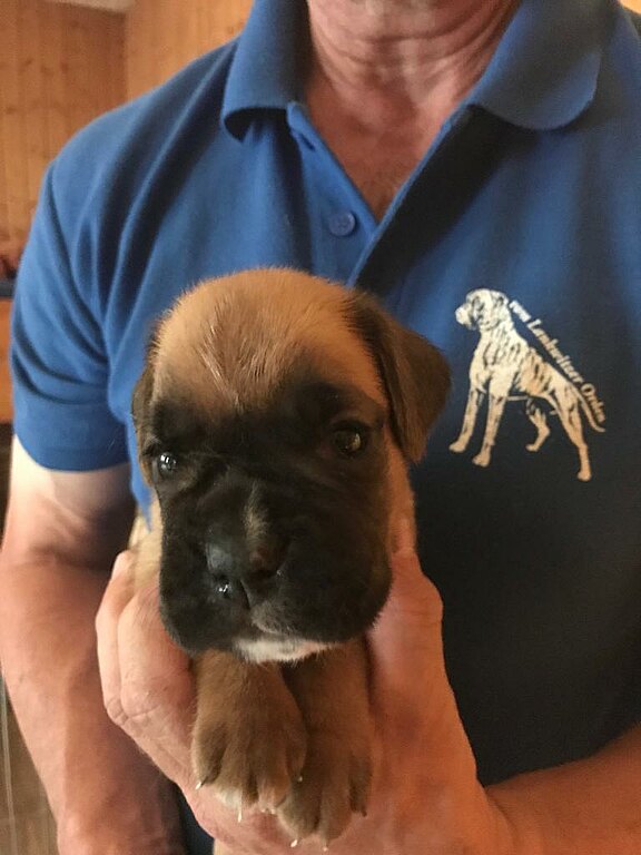 Noodles vom Lankwitzer Orden - Tag 23 Noodles vom Lankwitzer Orden - Tag 23