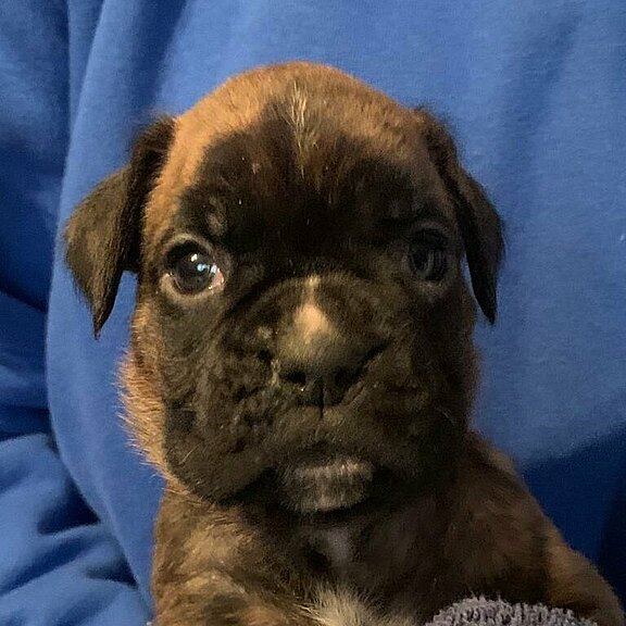 Yette vom Lankwitzer Orden, Tag 1 Yette vom Lankwitzer Orden, Tag 1