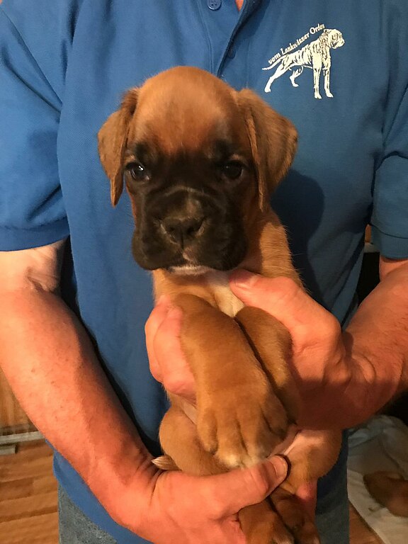 Noodles vom Lankwitzer Orden- Tag 38 Noodles vom Lankwitzer Orden - Tag 38