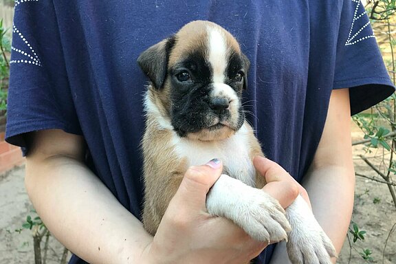 Maya vom Lankwitzer Orden - Tag 28 Maya vom Lankwitzer Orden - Tag 28