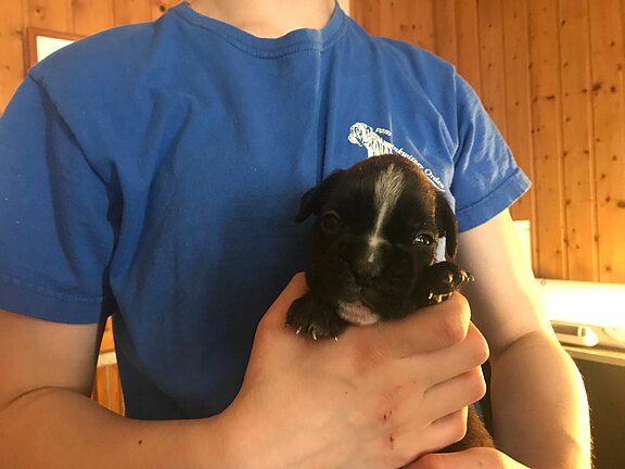 Martha vom Lankwitzer Orden - Tag 21 Martha vom Lankwitzer Orden - Tag 21