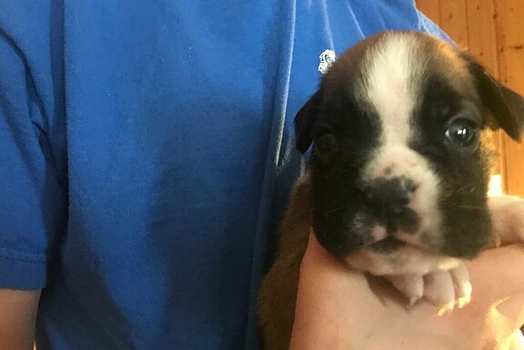 Maya vom Lankwitzer Orden - Tag 21 Maya vom Lankwitzer Orden - Tag 21