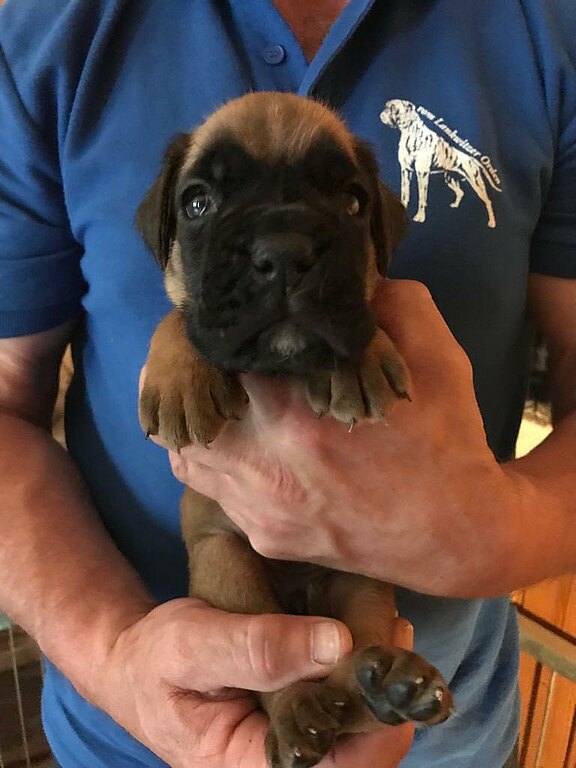 Nash vom Lankwitzer Orden - Tag 23 Nash vom Lankwitzer Orden - Tag 23