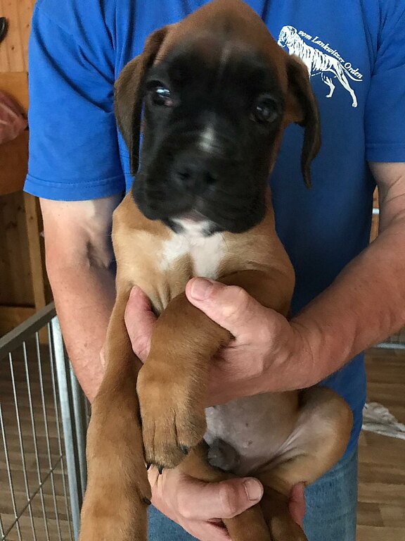 Neptun vom Lankwitzer Orden, Tag 67 Neptun vom Lankwitzer Orden, Tag 67