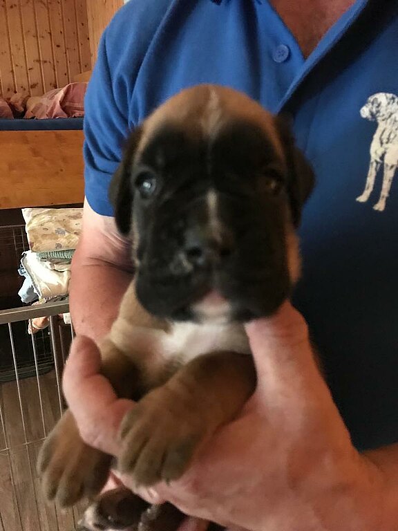 Neptun vom Lankwitzer Orden, Tag 23 Neptun vom Lankwitzer Orden, Tag 23