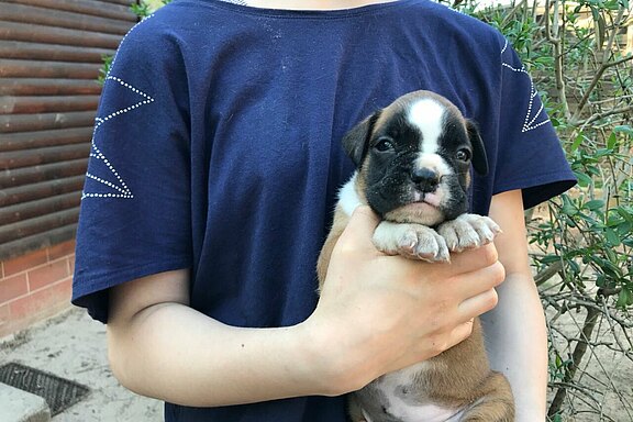 Moses vom Lankwitzer Orden - Tag 28 Moses vom Lankwitzer Orden - Tag 28