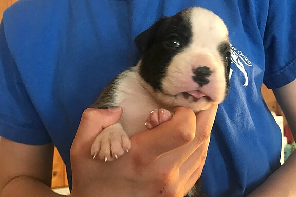 Mimi vom Lankwitzer Orden - Tag 21 Mimi vom Lankwitzer Orden - Tag 21