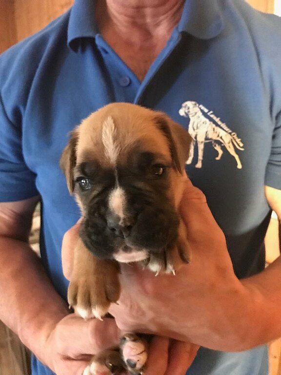 Nelly Rose vom Lankwitzer Orden - Tag 23 Nelly Rose vom Lankwitzer Orden - Tag 23