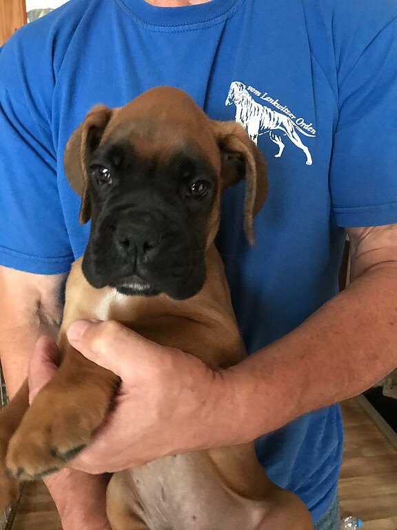 Nash vom Lankwitzer Orden - Tag 67 Nash vom Lankwitzer Orden - Tag 67