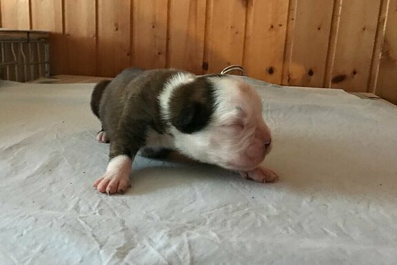 Monte-Bosco vom Lankwitzer Orden - Tag 7 Monte-Bosco vom Lankwitzer Orden - Tag 7